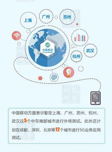 編織數(shù)字天府 成都互聯(lián)網(wǎng)信息服務(wù)網(wǎng)絡(luò)的崛起與未來(lái)